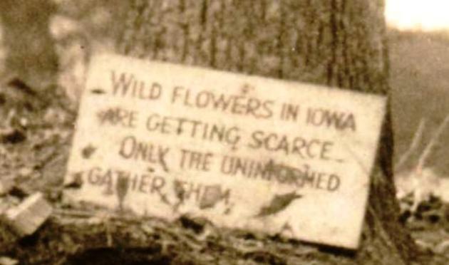 Flower sign_up close