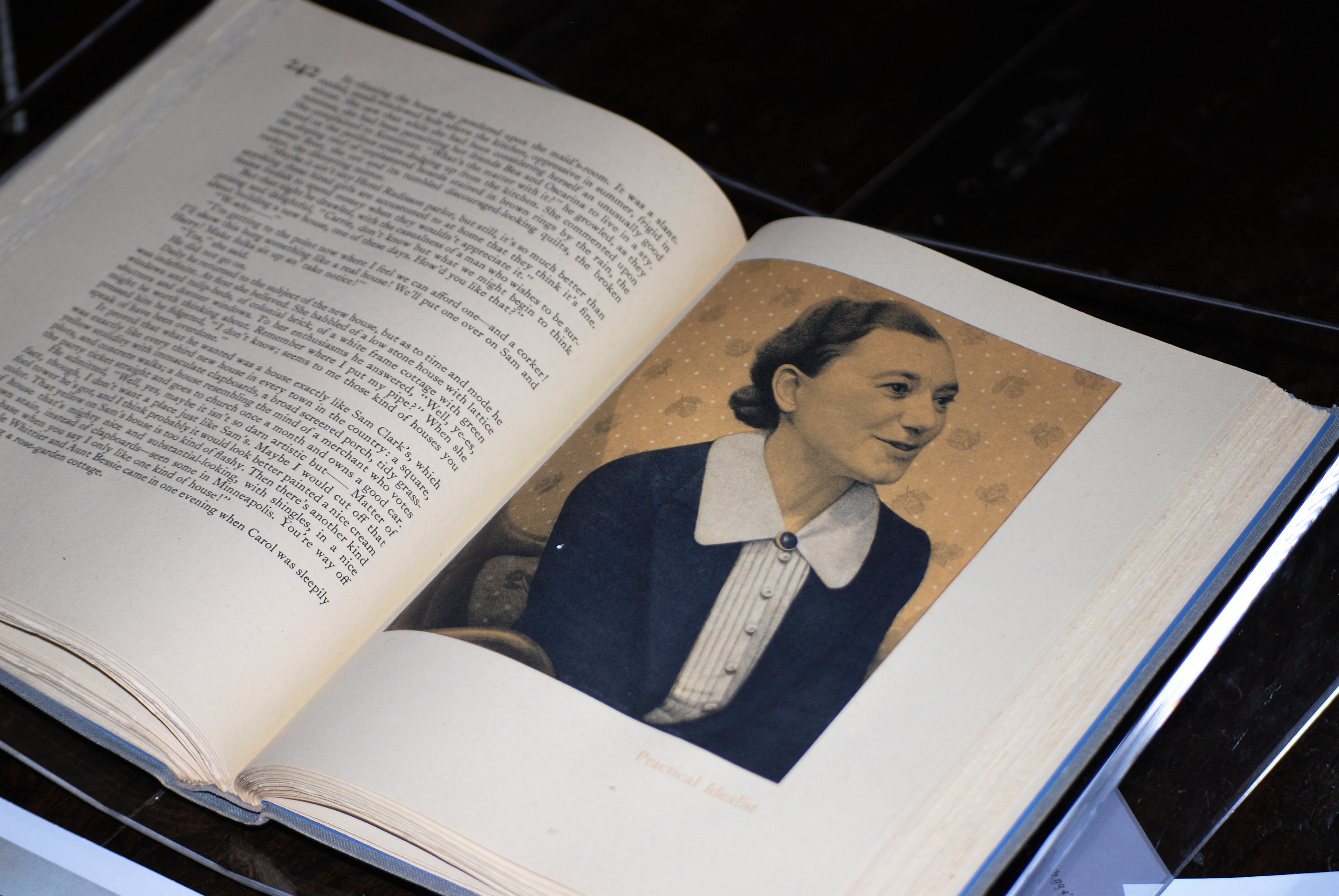 Main Street illustrated by Grant Wood